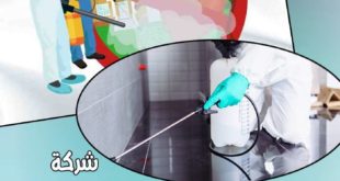 شركة مكافحة حشرات في الفجيرة